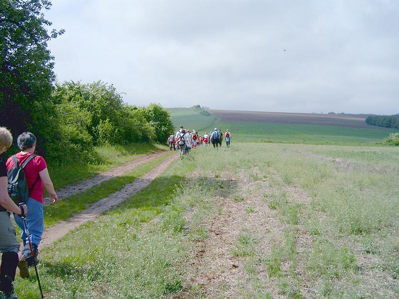 2010.05.08 (028).jpg
